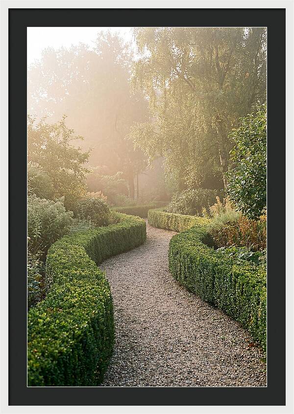 Boxwood Lined Garden Path