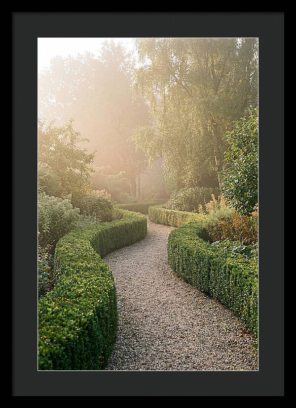Boxwood Lined Garden Path