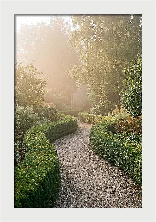 Boxwood Lined Garden Path