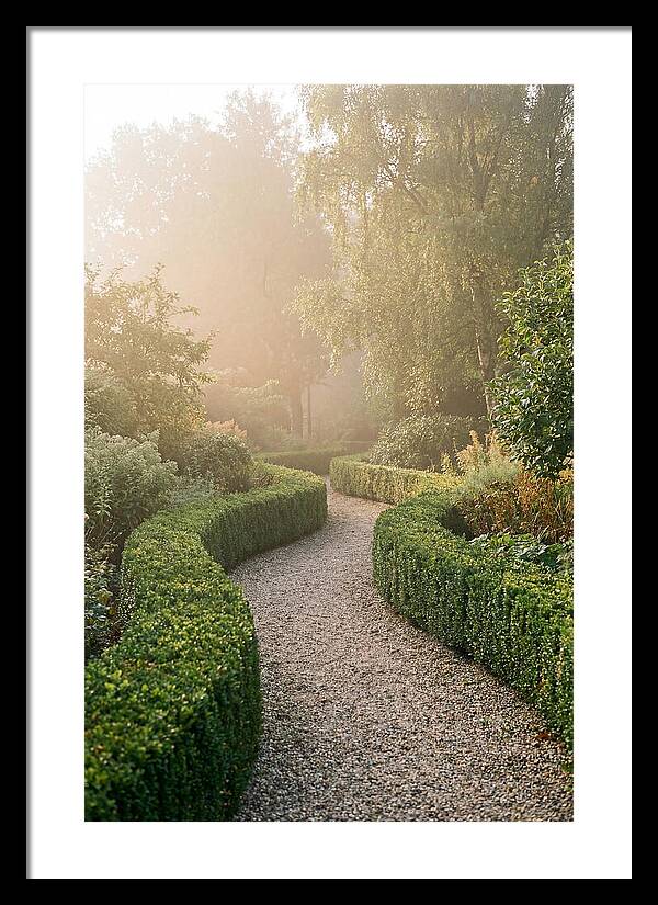 Boxwood Lined Garden Path