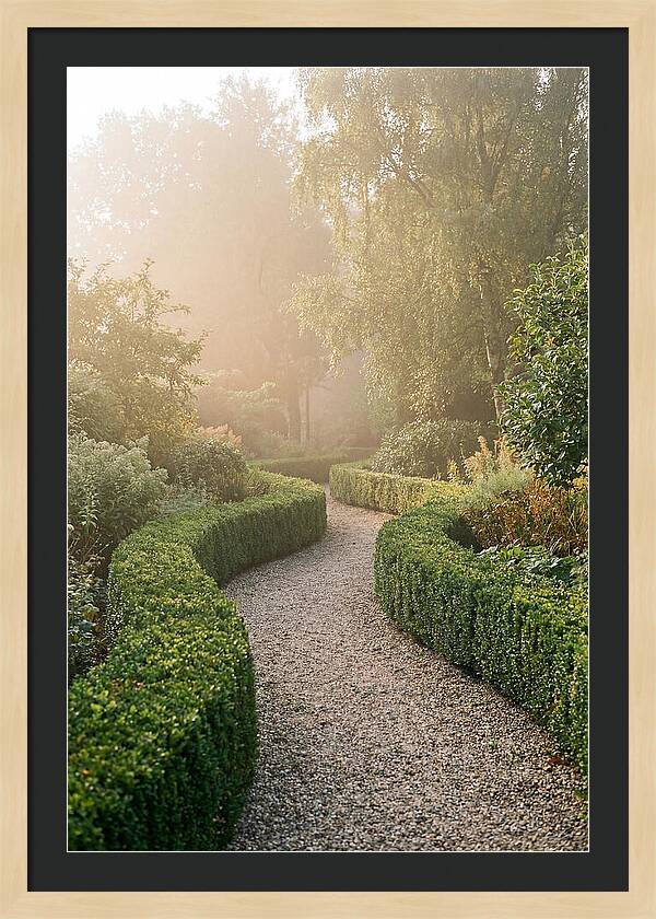Boxwood Lined Garden Path