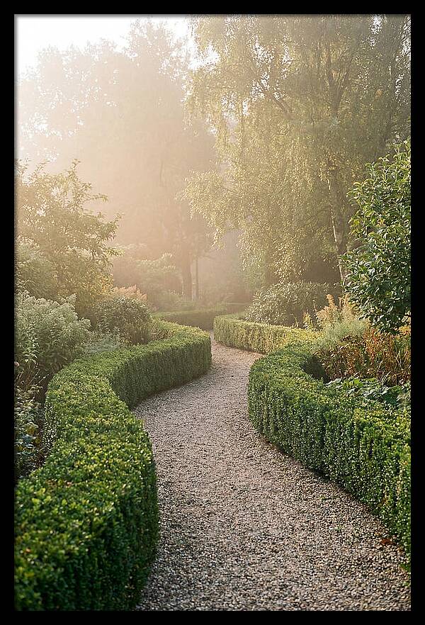 Boxwood Lined Garden Path
