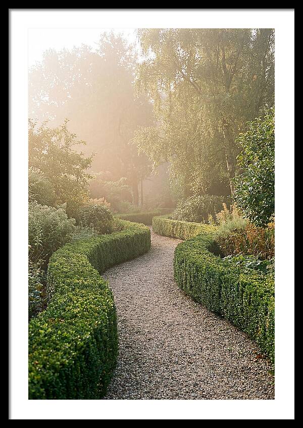 Boxwood Lined Garden Path