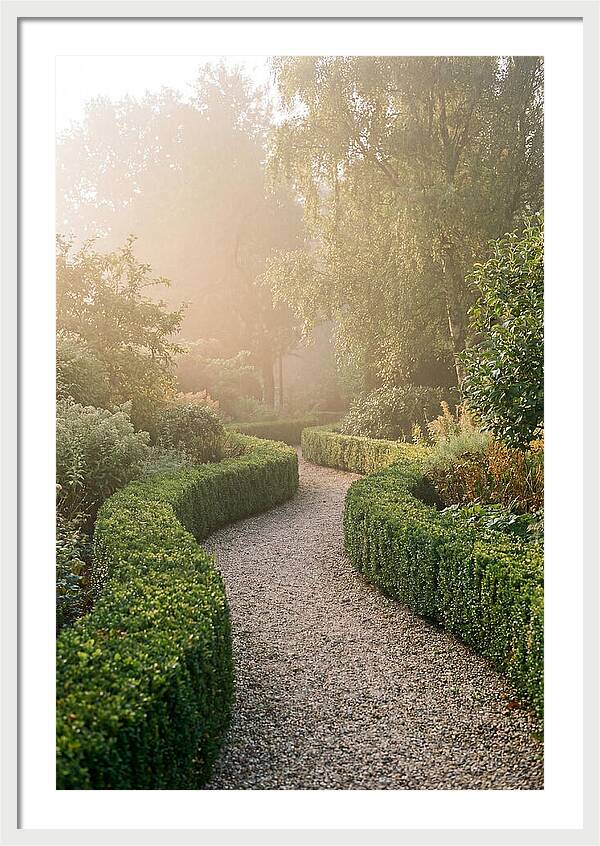 Boxwood Lined Garden Path