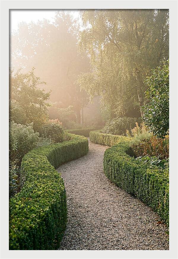 Boxwood Lined Garden Path