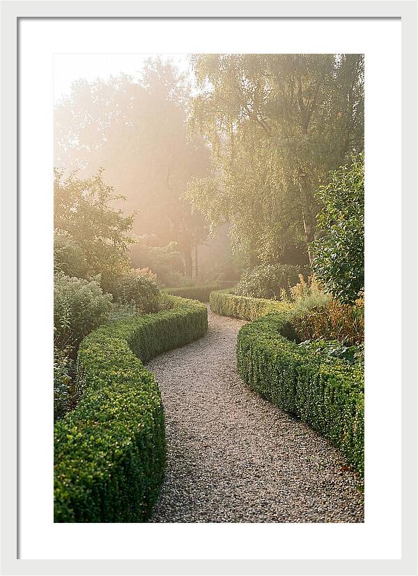 Boxwood Lined Garden Path