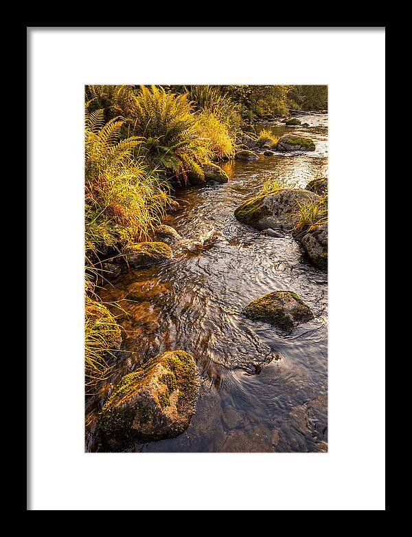 Brandywine Creek Serenity