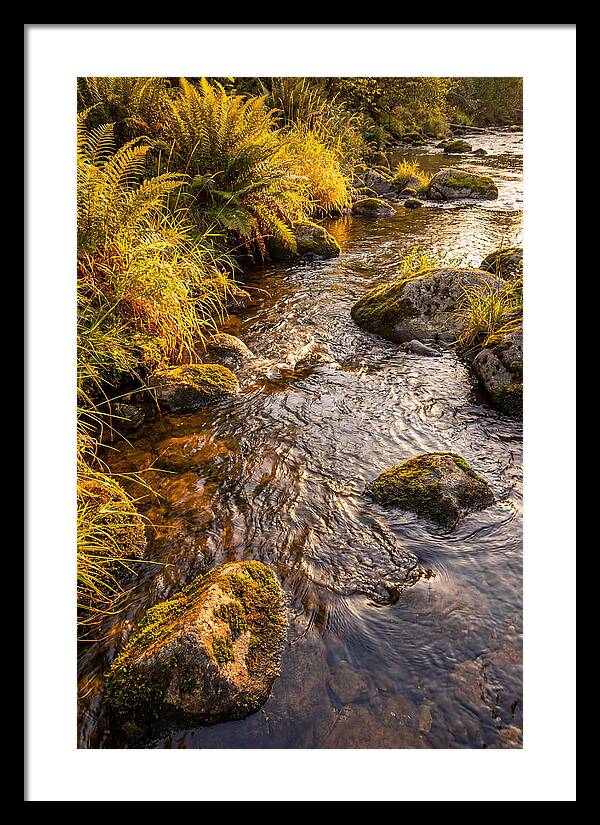 Brandywine Creek Serenity