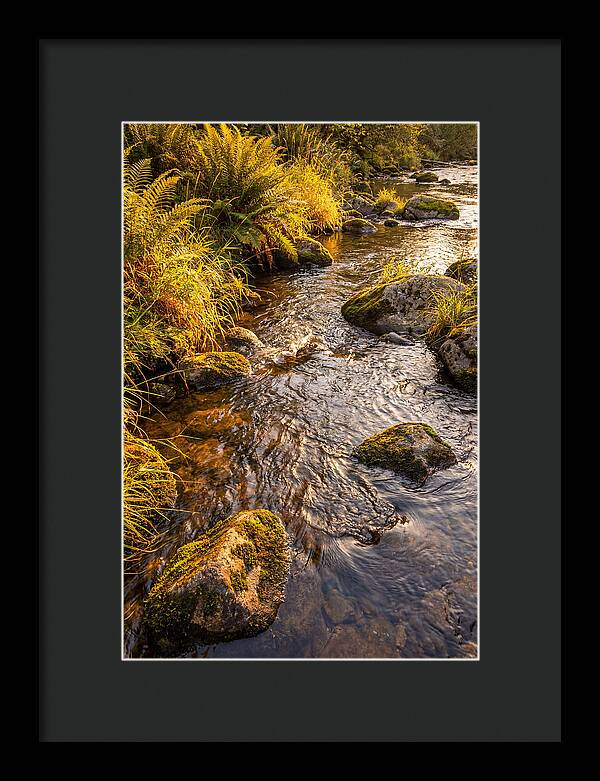 Brandywine Creek Serenity