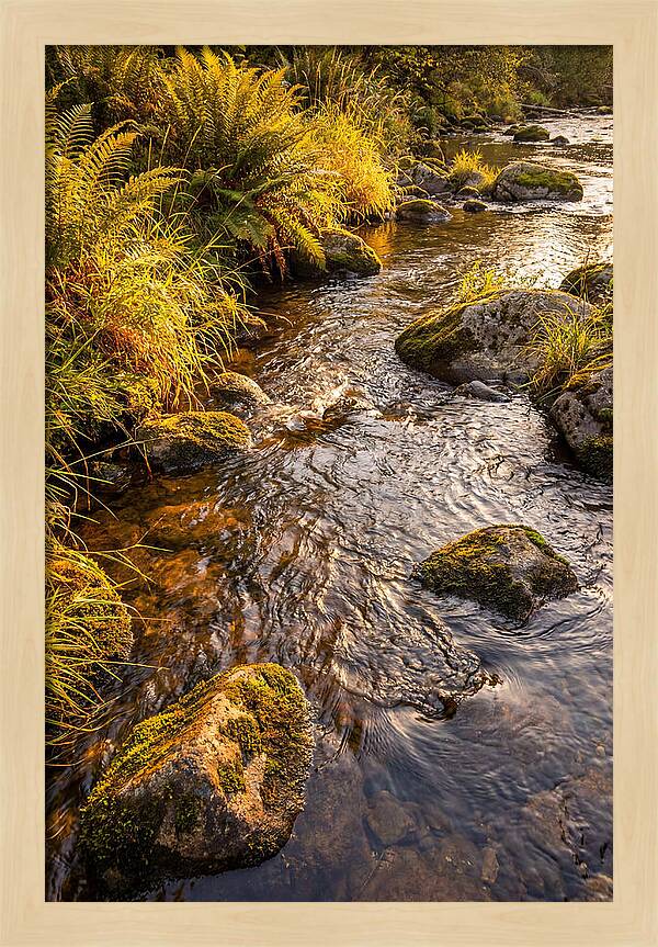Brandywine Creek Serenity