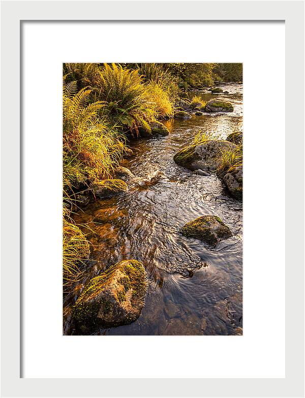 Brandywine Creek Serenity