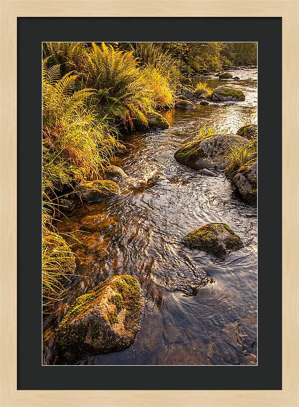 Brandywine Creek Serenity