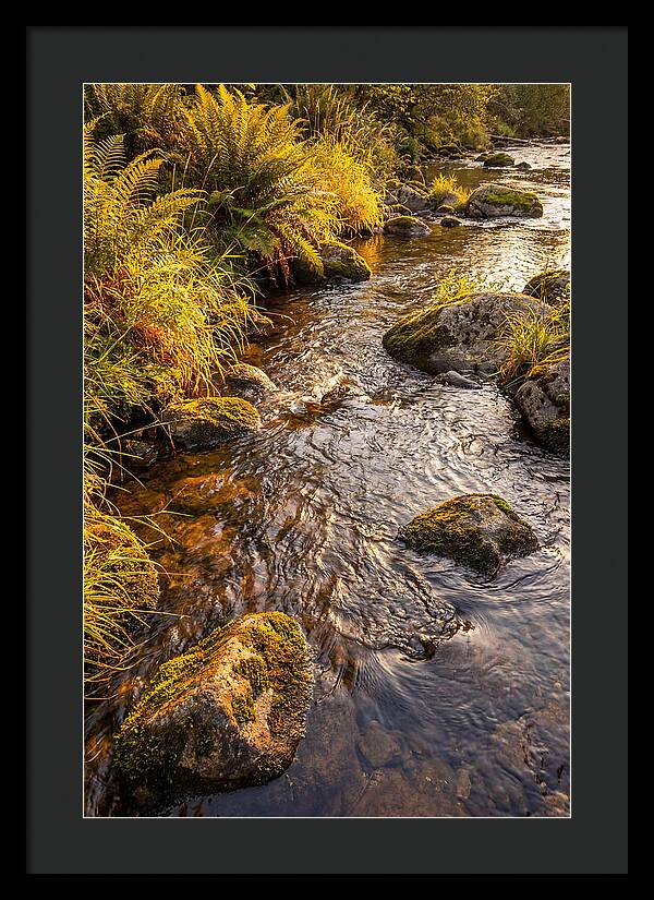 Brandywine Creek Serenity