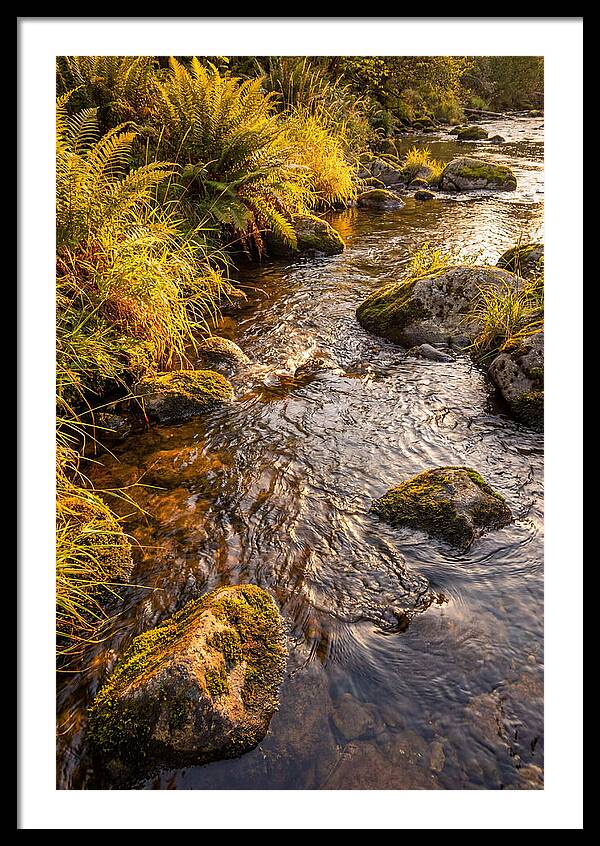 Brandywine Creek Serenity
