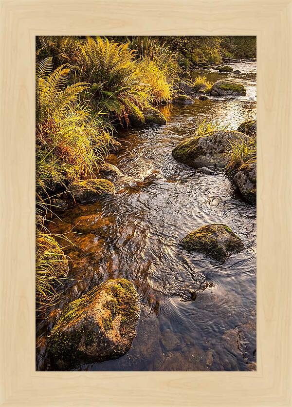 Brandywine Creek Serenity