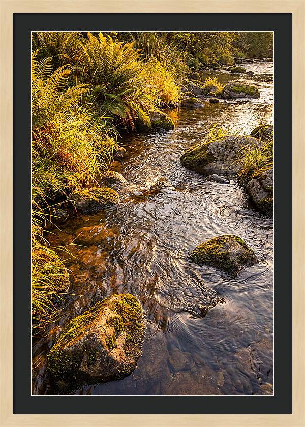 Brandywine Creek Serenity