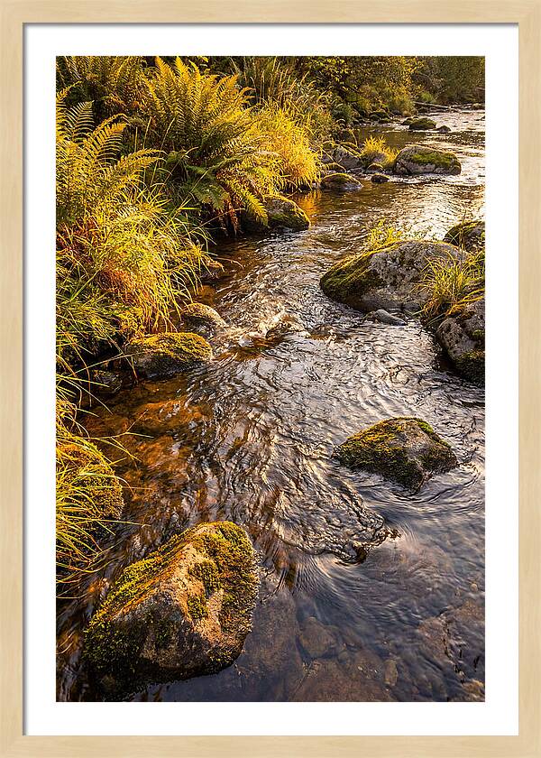Brandywine Creek Serenity