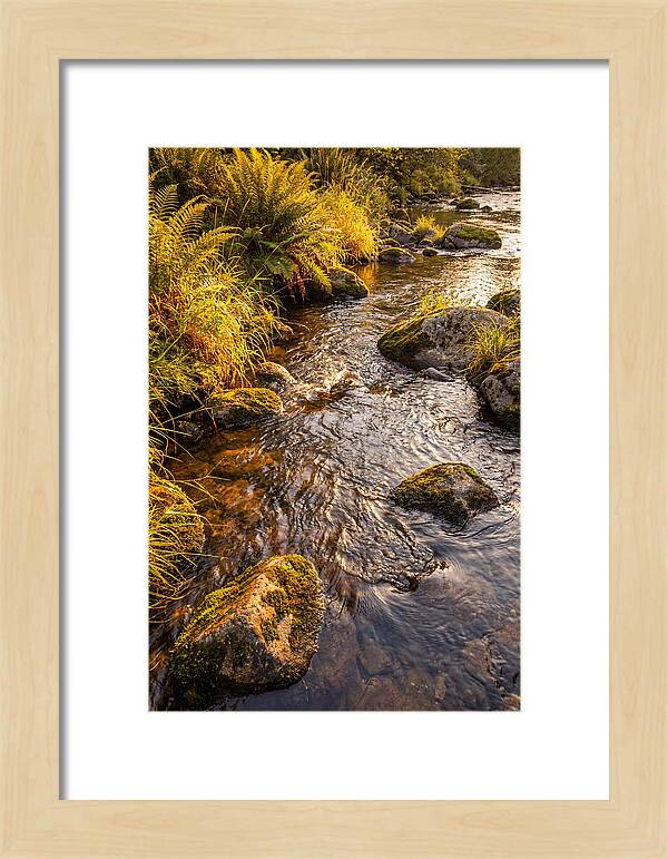 Brandywine Creek Serenity