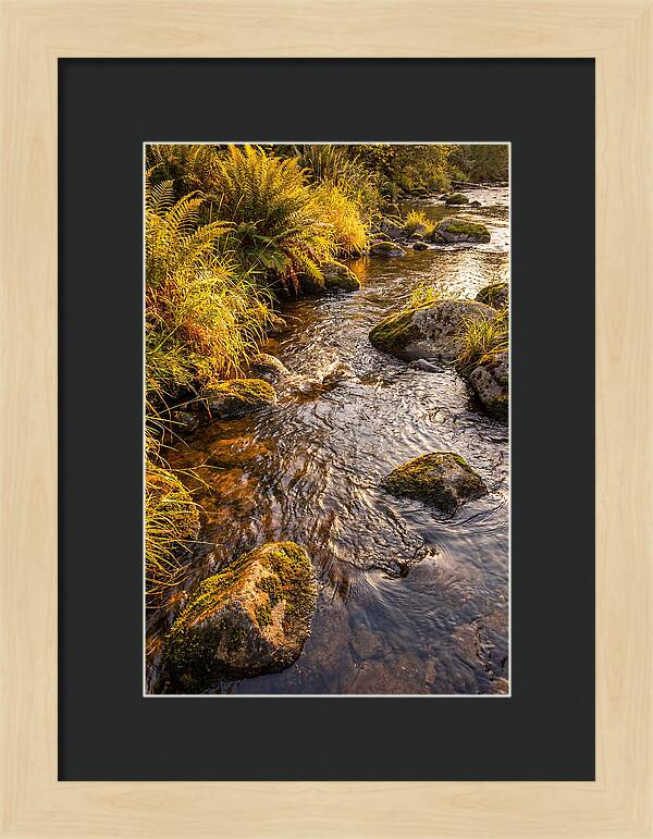Brandywine Creek Serenity