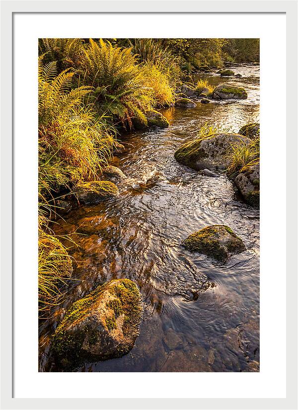 Brandywine Creek Serenity