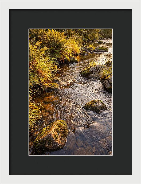 Brandywine Creek Serenity