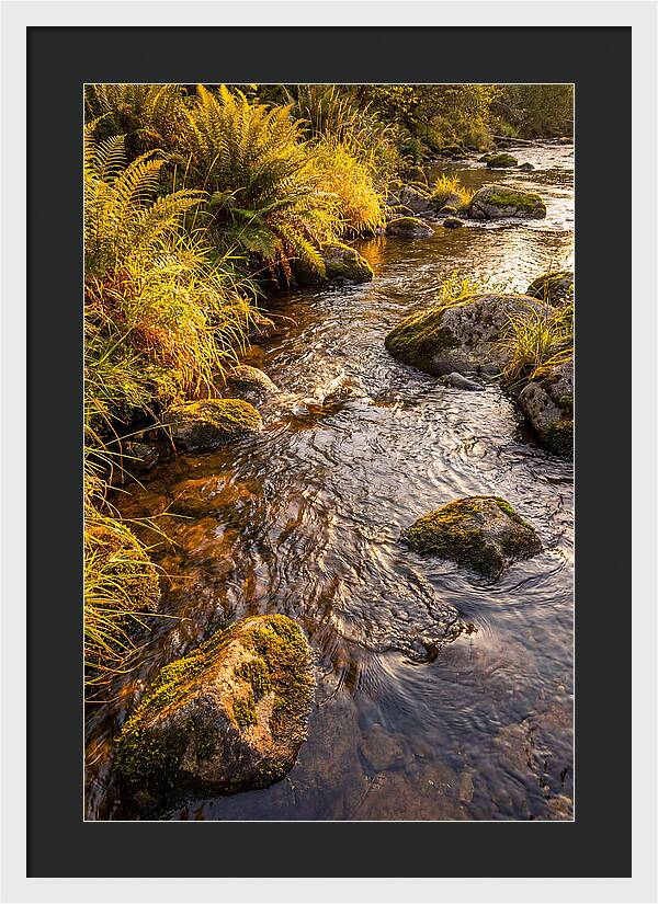 Brandywine Creek Serenity