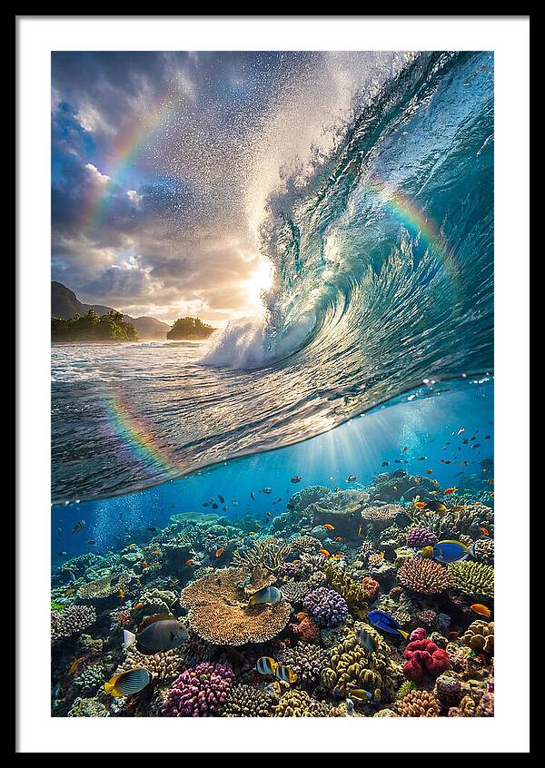 Breaking Wave Coral