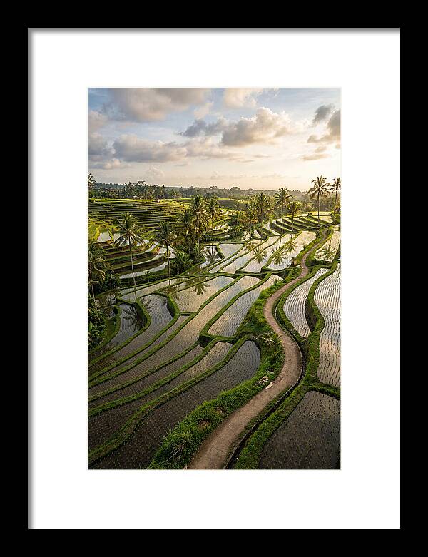 Breathtaking Rice Terraces In Bali