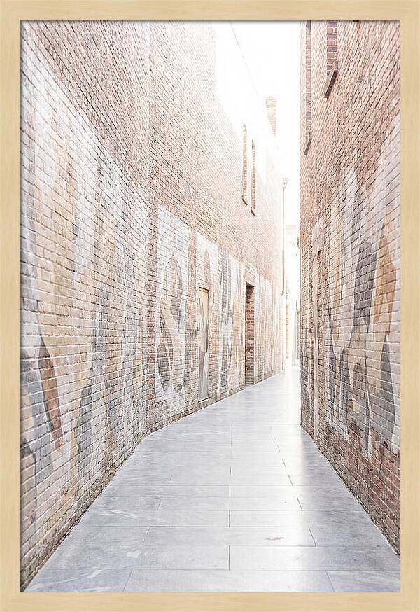 Brick Alleyway With Street Art