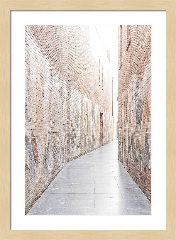 Brick Alleyway With Street Art