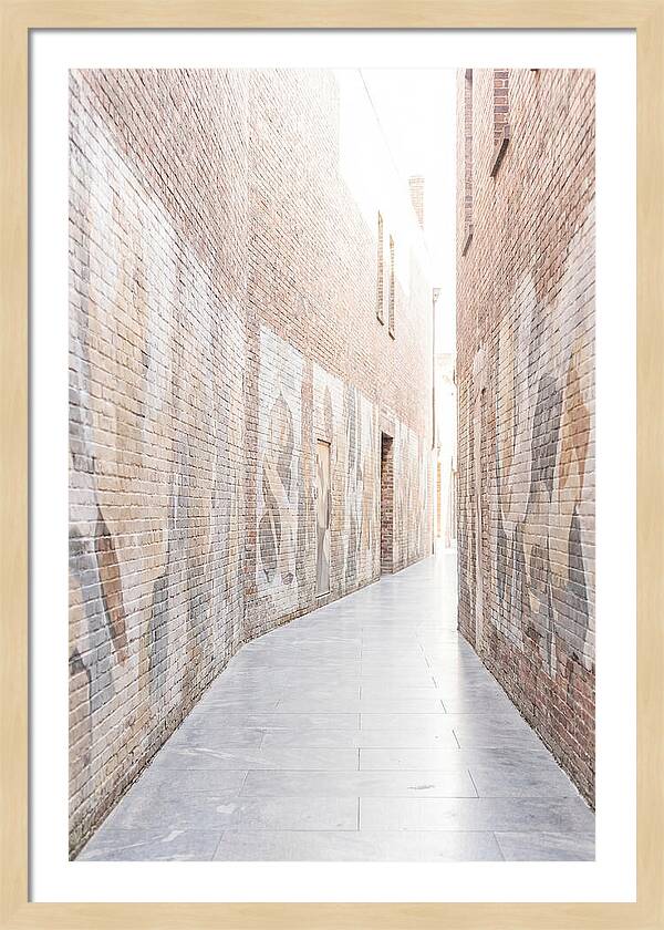 Brick Alleyway With Street Art