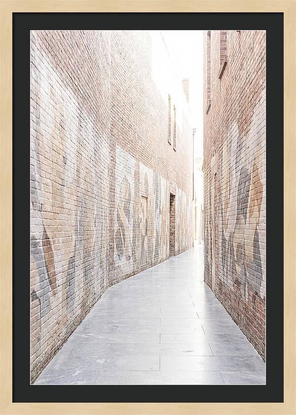 Brick Alleyway With Street Art