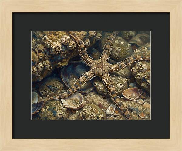Brittle Star Among Shells