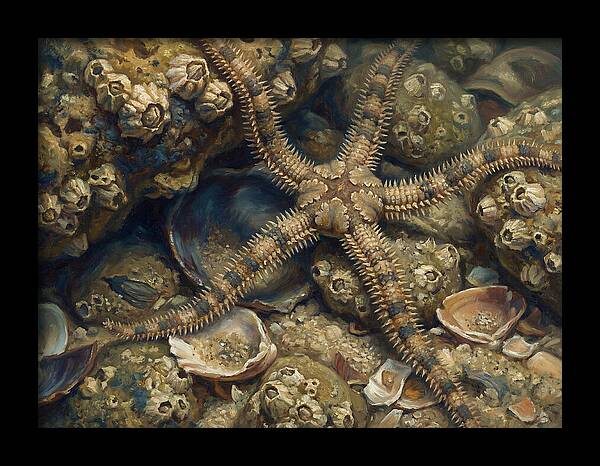 Brittle Star Among Shells
