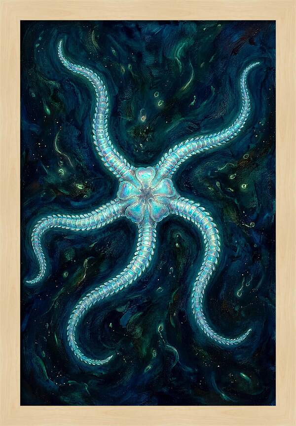 Brittle Star