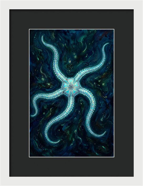 Brittle Star