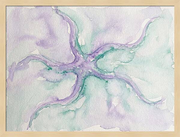 Brittle Star In Watercolor