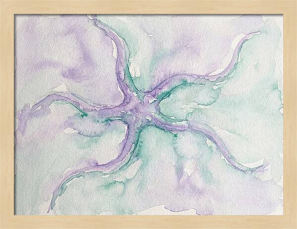 Brittle Star In Watercolor