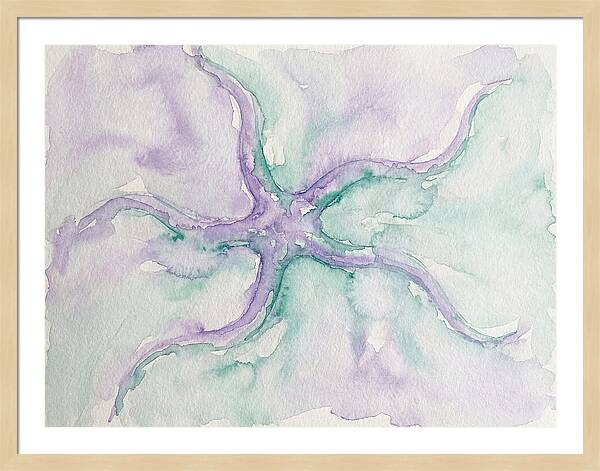 Brittle Star In Watercolor
