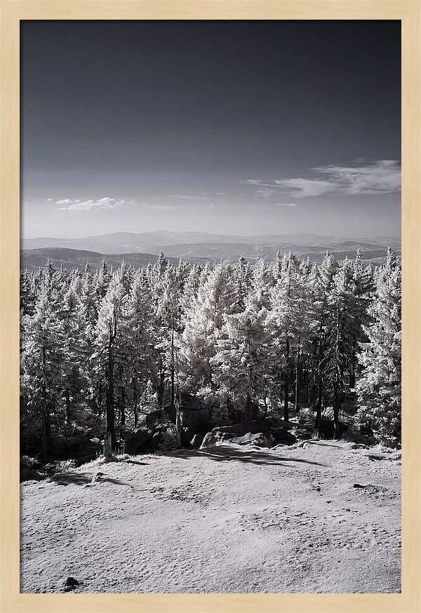 Brocken Mountain Twilight Serenity