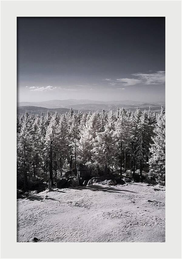 Brocken Mountain Twilight Serenity