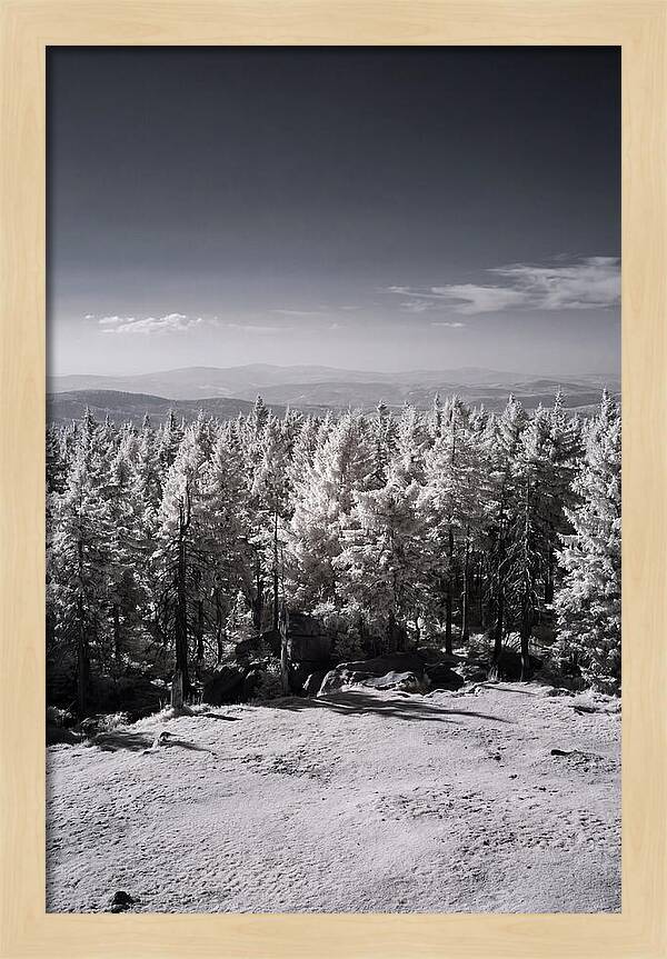 Brocken Mountain Twilight Serenity