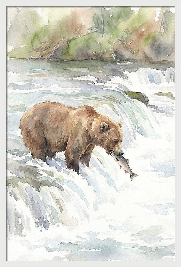Brown Bear Fishing In Rapids