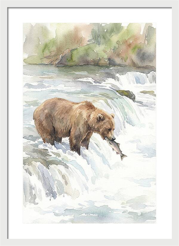 Brown Bear Fishing In Rapids