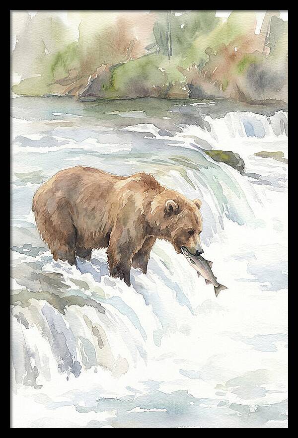 Brown Bear Fishing In Rapids