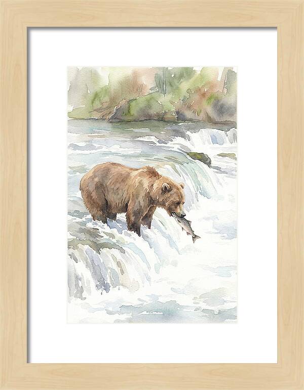 Brown Bear Fishing In Rapids