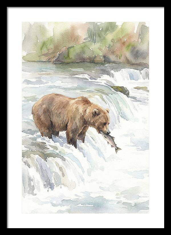 Brown Bear Fishing In Rapids