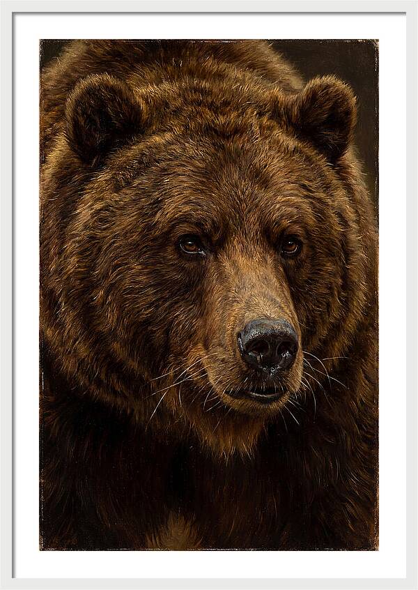 Brown Bear Majesty