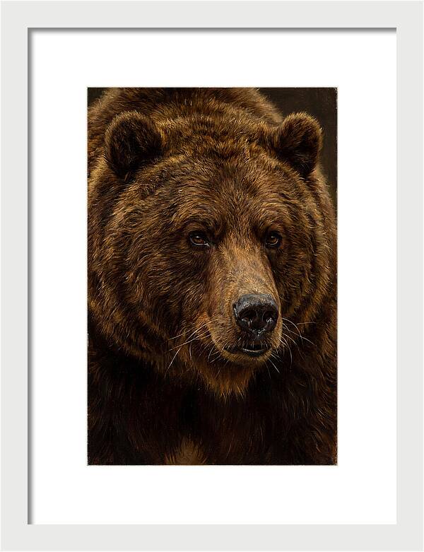 Brown Bear Majesty