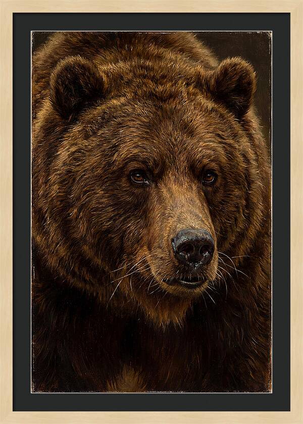 Brown Bear Majesty